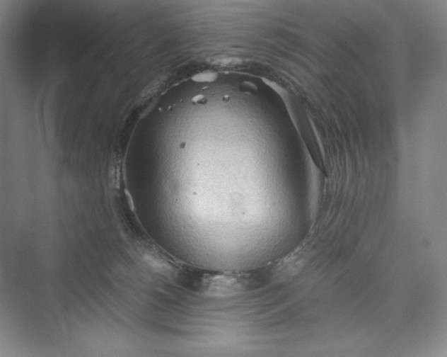 X0000073410180200608111334