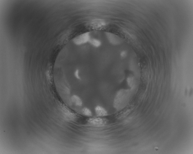 X0000073410181200608111334