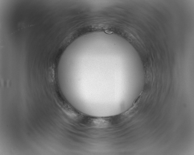 X0000073410183200608111334