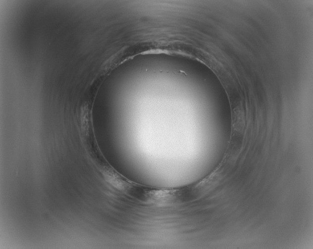 X0000073410184200608111334