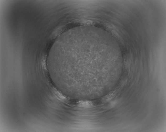 X0000073410185200608111334