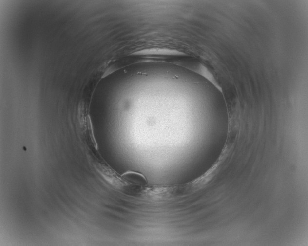 X0000073410186200608111334