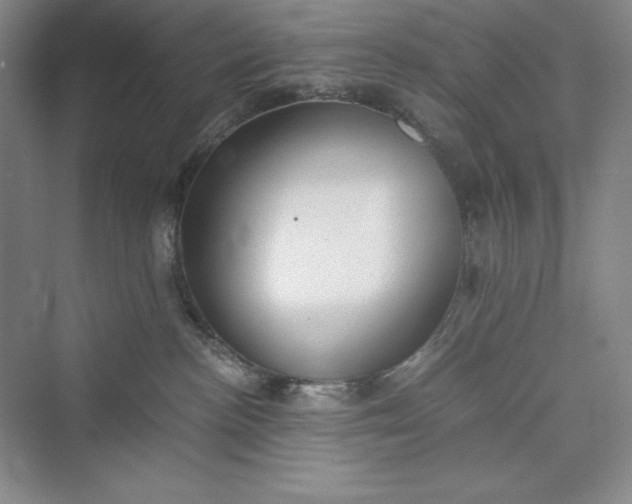 X0000073410188200608111335