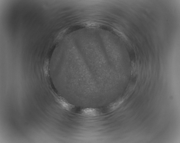 X0000073410189200608111335