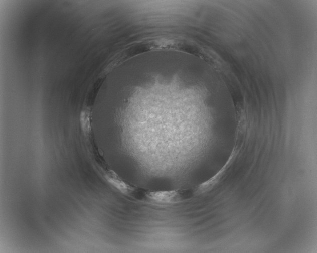 X0000073410191200608111335