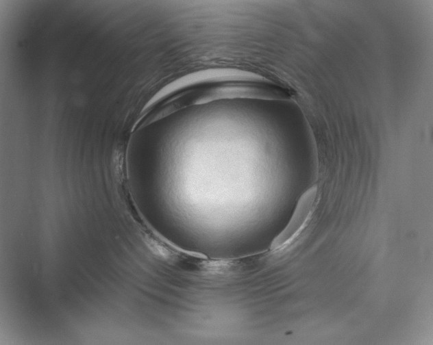 X0000073410192200608111335