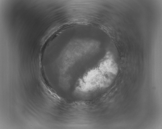 X0000073410194200608111334