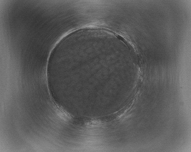 X0000073410196200608111334