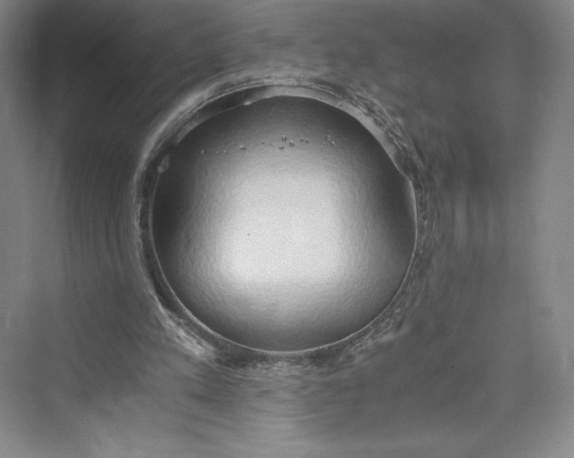 X0000073410197200608111334