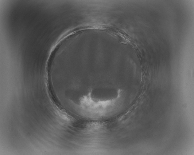 X0000073410198200608111334