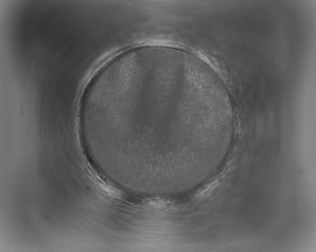 X0000073410199200608111334