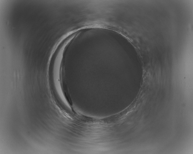 X0000073410200200608111334