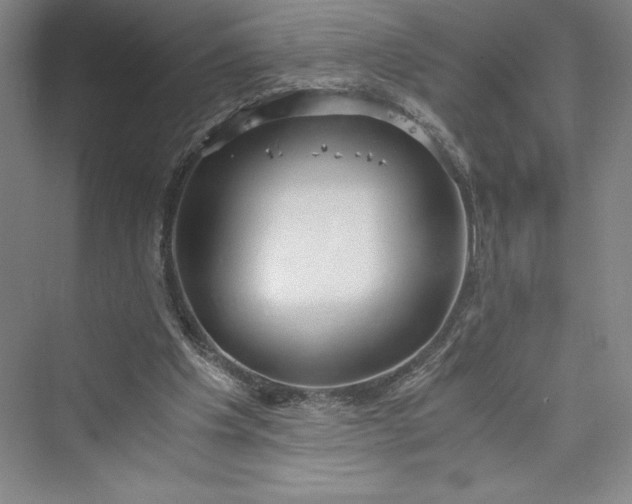 X0000073410201200608111334