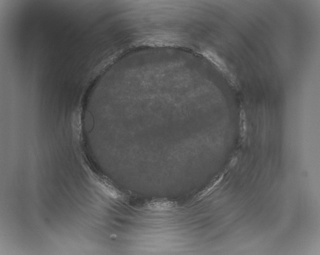 X0000073410202200608111334