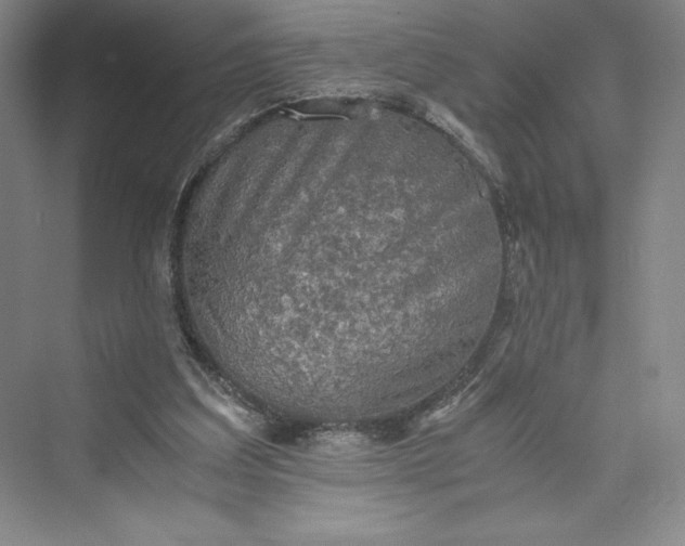 X0000073410203200608111334