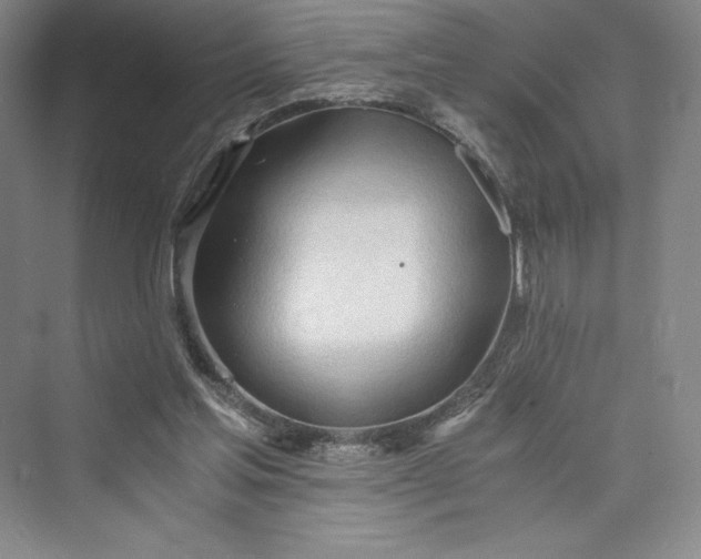 X0000073410205200608111334