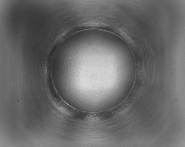 X0000073410207200608111334