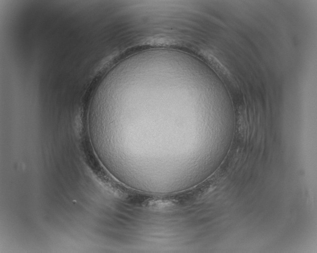 X0000073410208200608111334