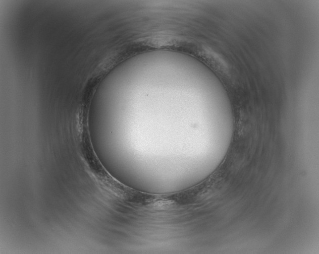 X0000073410210200608111333