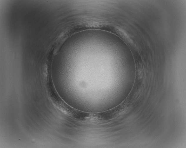 X0000073410211200608111333