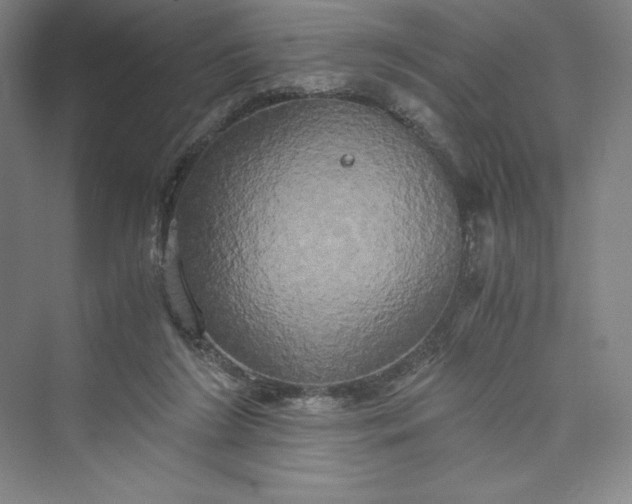 X0000073410212200608111333