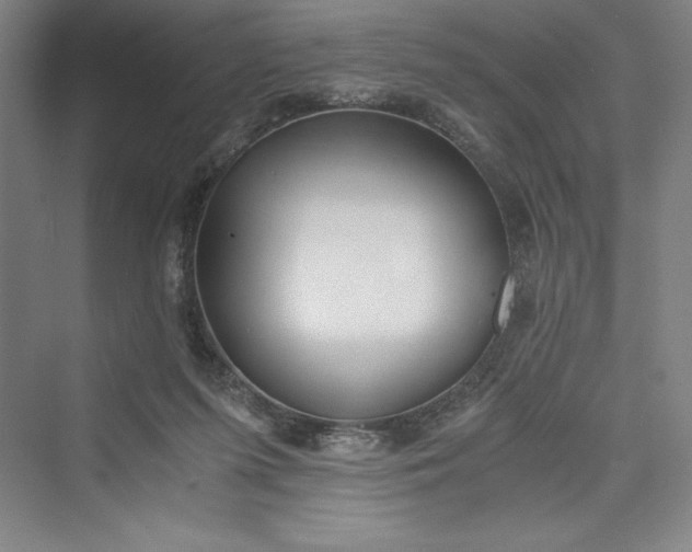 X0000073410215200608111333