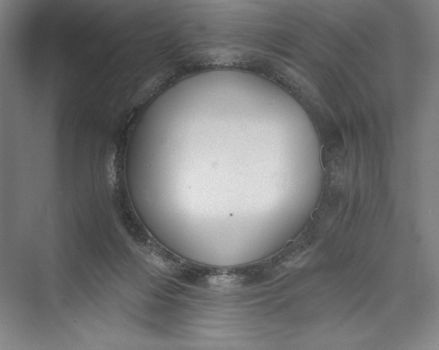 X0000073410216200608111333