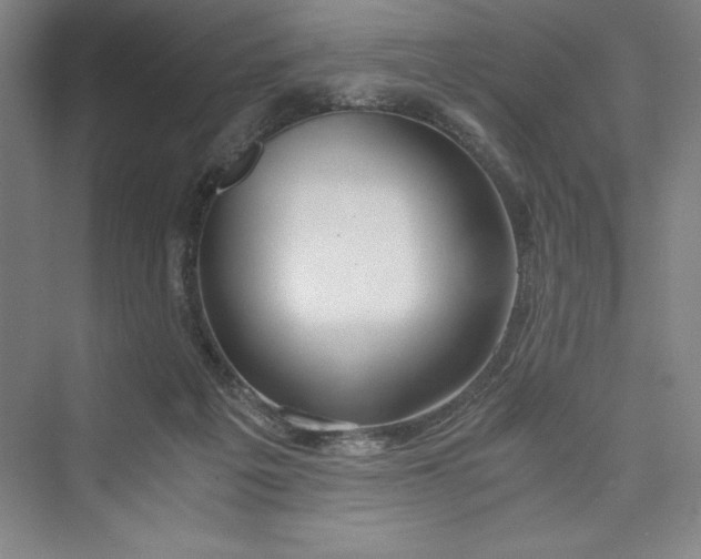 X0000073410217200608111333