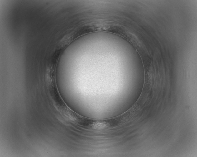 X0000073410218200608111333