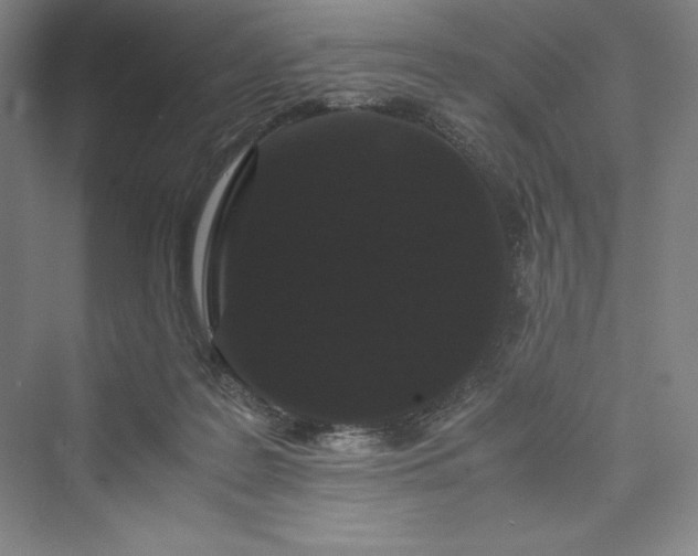 X0000073410219200608111333