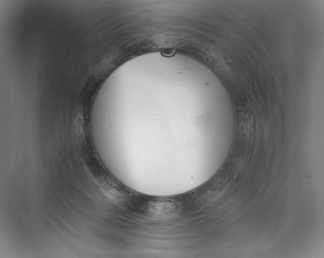 X0000073410220200608111333