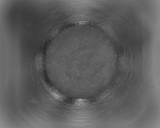 X0000073410222200608111333