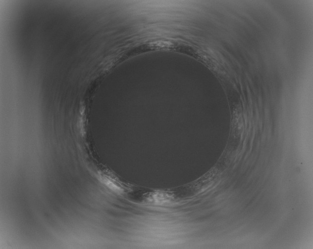 X0000073410223200608111333