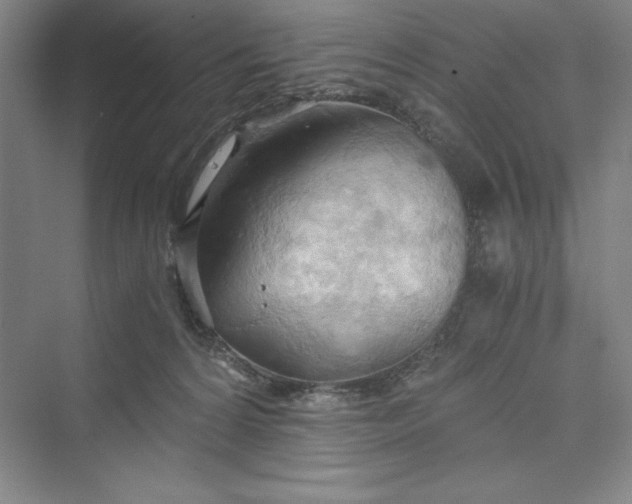 X0000073410224200608111333