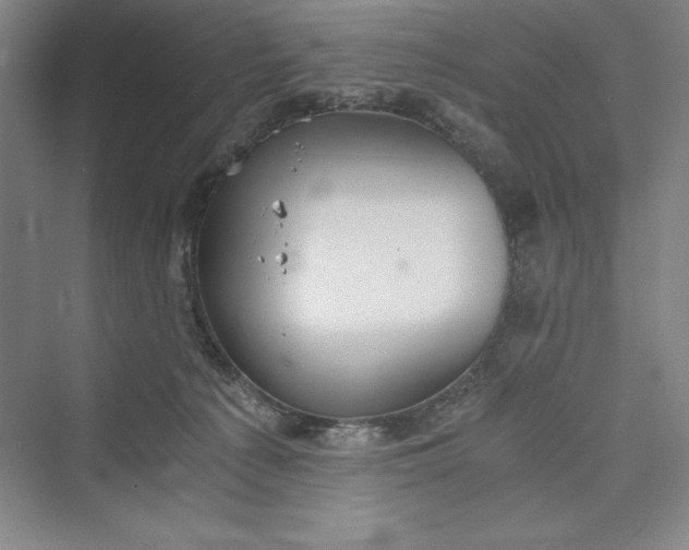 X0000073410225200608111333