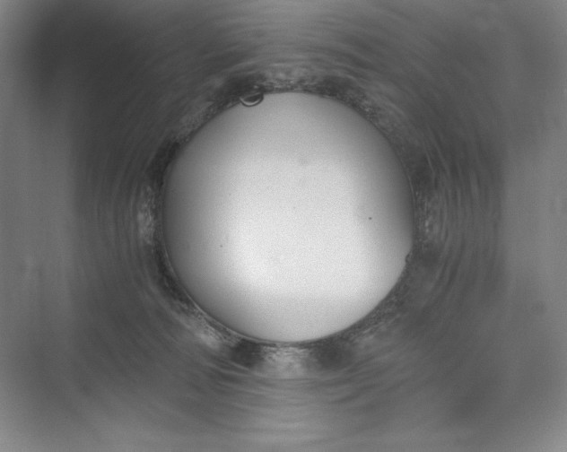 X0000073410226200608111333