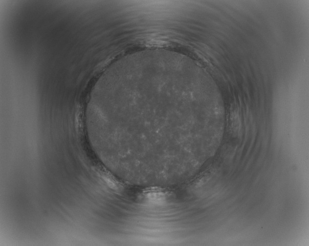 X0000073410228200608111333