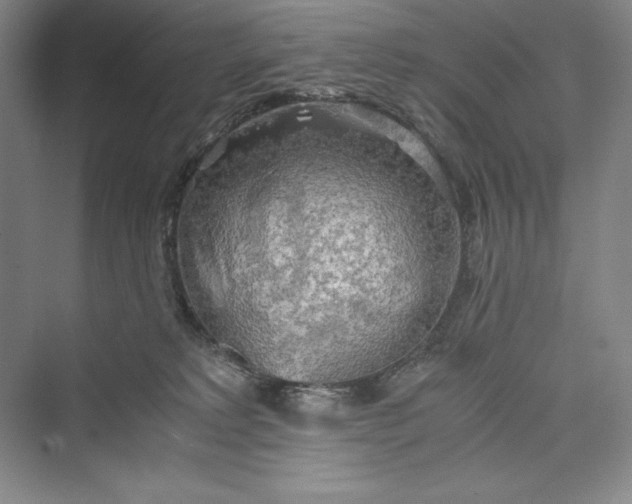 X0000073410229200608111333