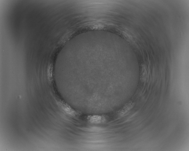 X0000073410230200608111333