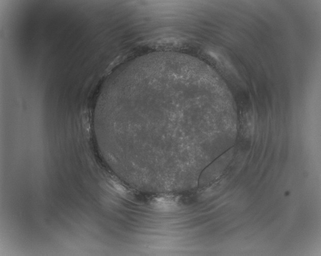 X0000073410232200608111333