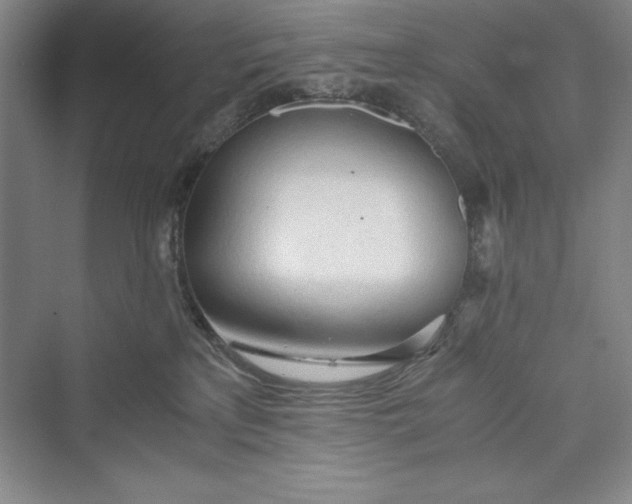 X0000073410233200608111333