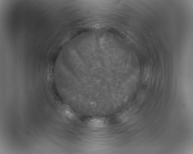 X0000073410236200608111333