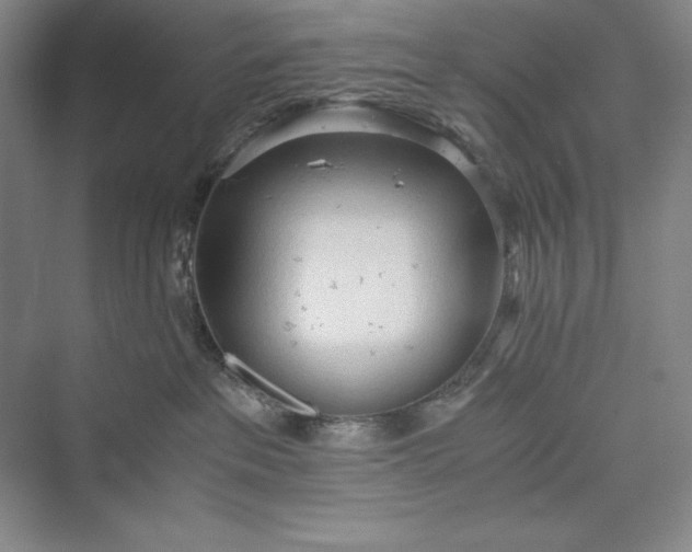 X0000073410237200608111333