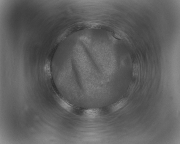 X0000073410238200608111333