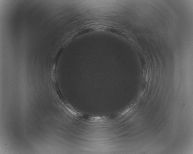 X0000073410239200608111333