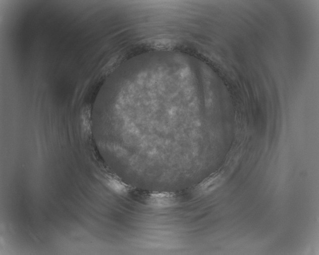 X0000073410240200608111333