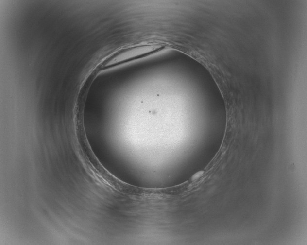 X0000073410242200608111332