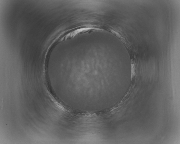 X0000073410243200608111332