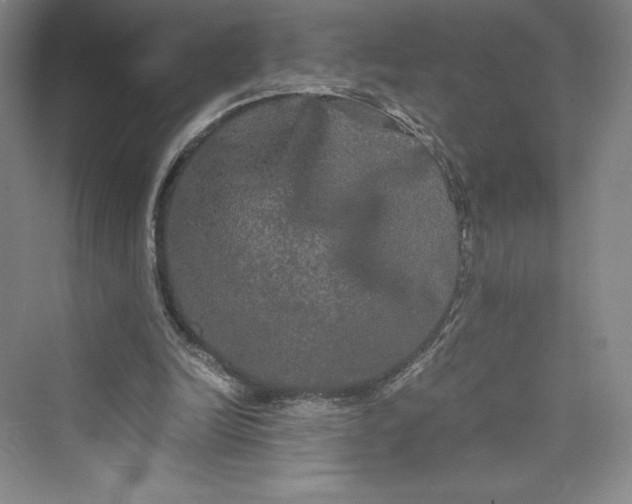 X0000073410246200608111332