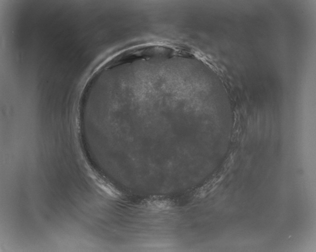 X0000073410247200608111332